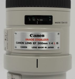 zoomed in view of Canon 300 f/4 lens
