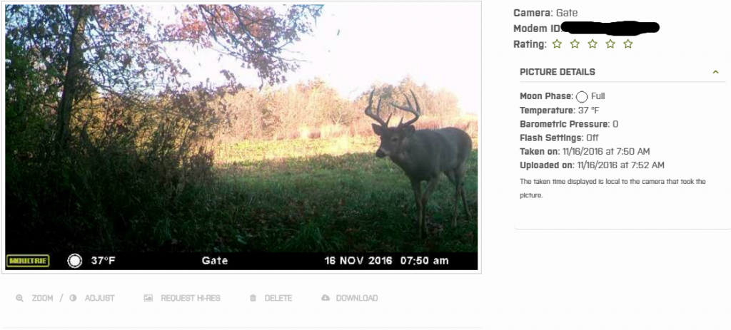 Picture of an Iowa whitetail buck taken with the aid of the Moultrie wireless field modem.