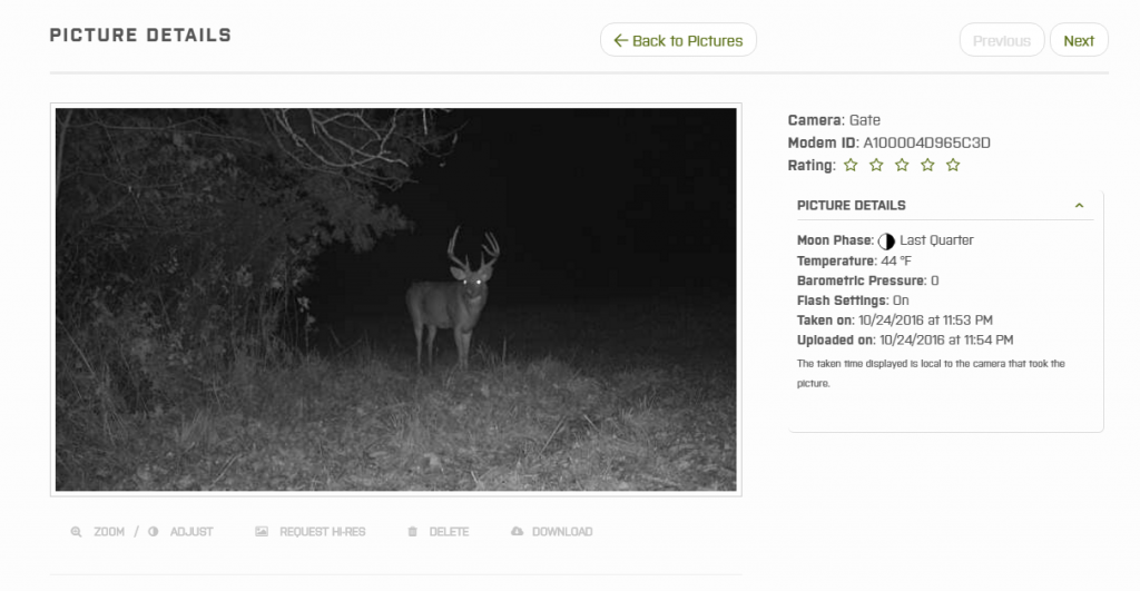 Image of Iowa whitetail buck taken with the Moultrie wireless modem.